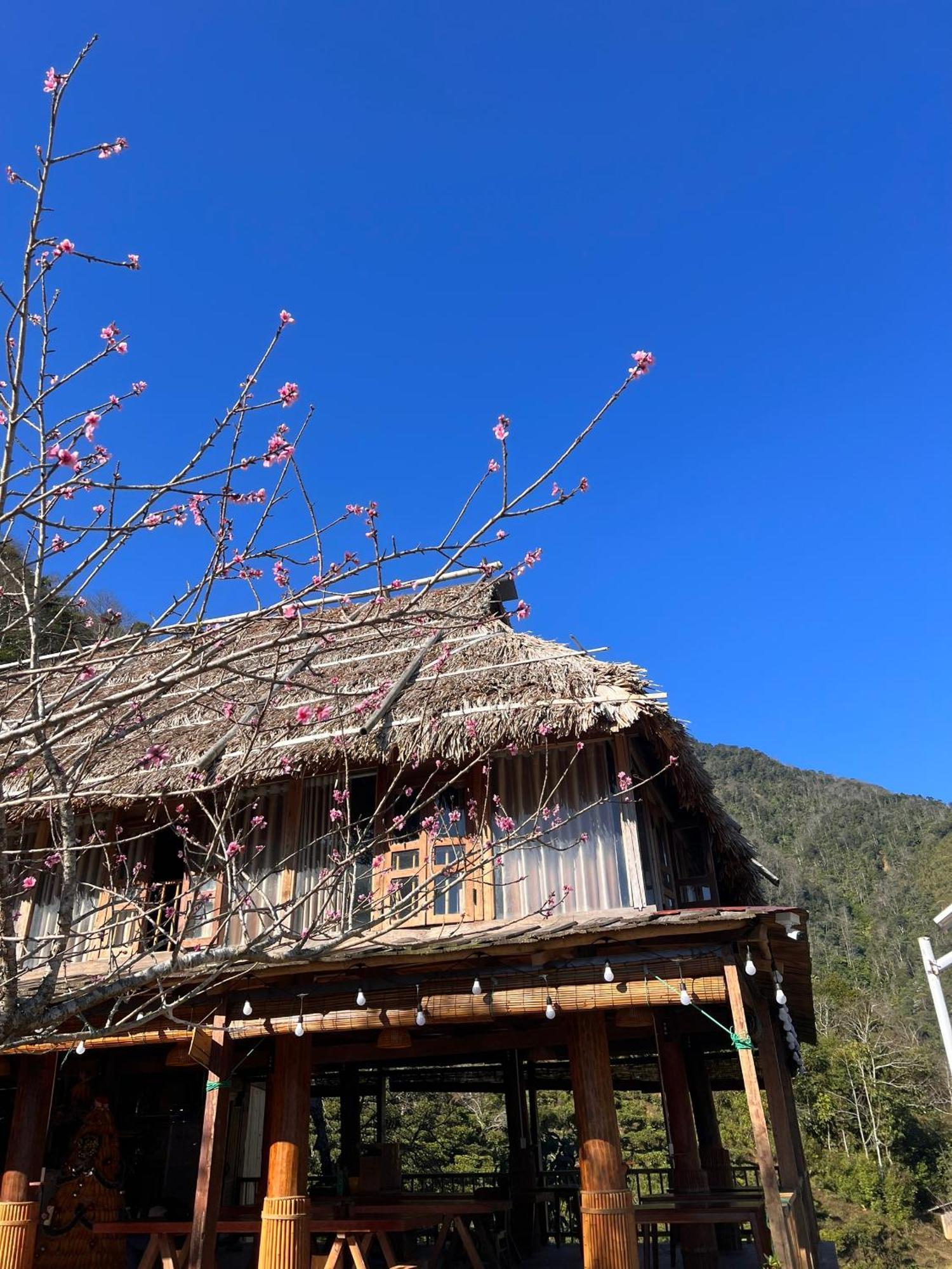 Ta Xua Ecolodge Bac Yen Экстерьер фото
