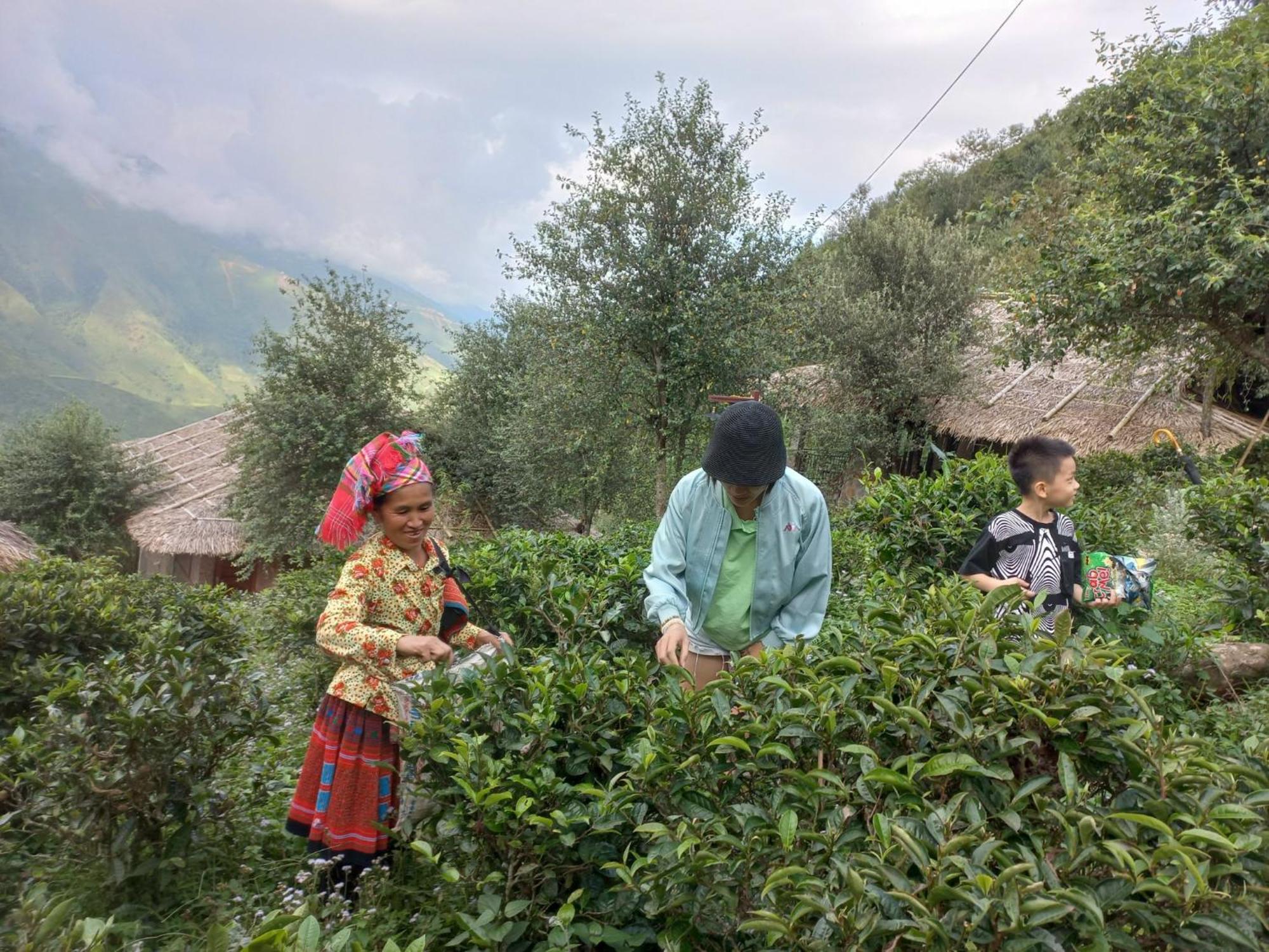 Ta Xua Ecolodge Bac Yen Экстерьер фото
